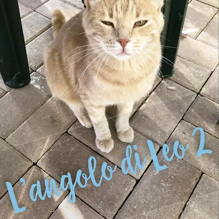 L'angolo Di Leo * Borgofranco d'Ivrea