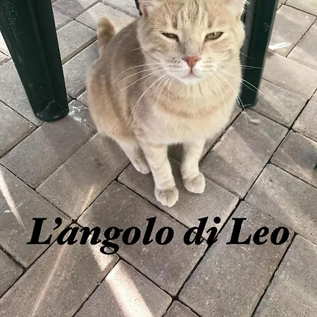 Апартаменты L'angolo Di Leo